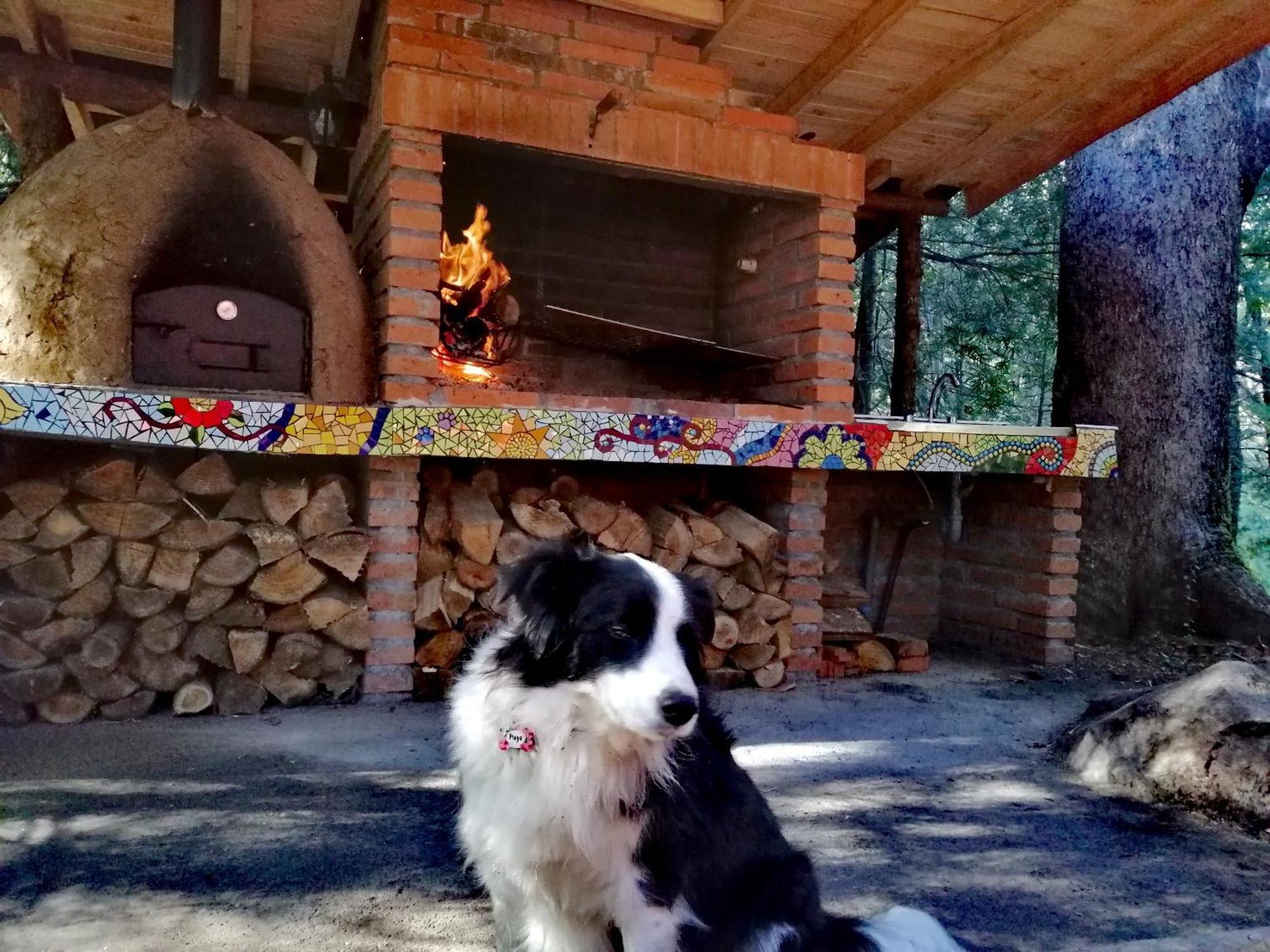 Cabanita Del Arbol Condor Chalet *