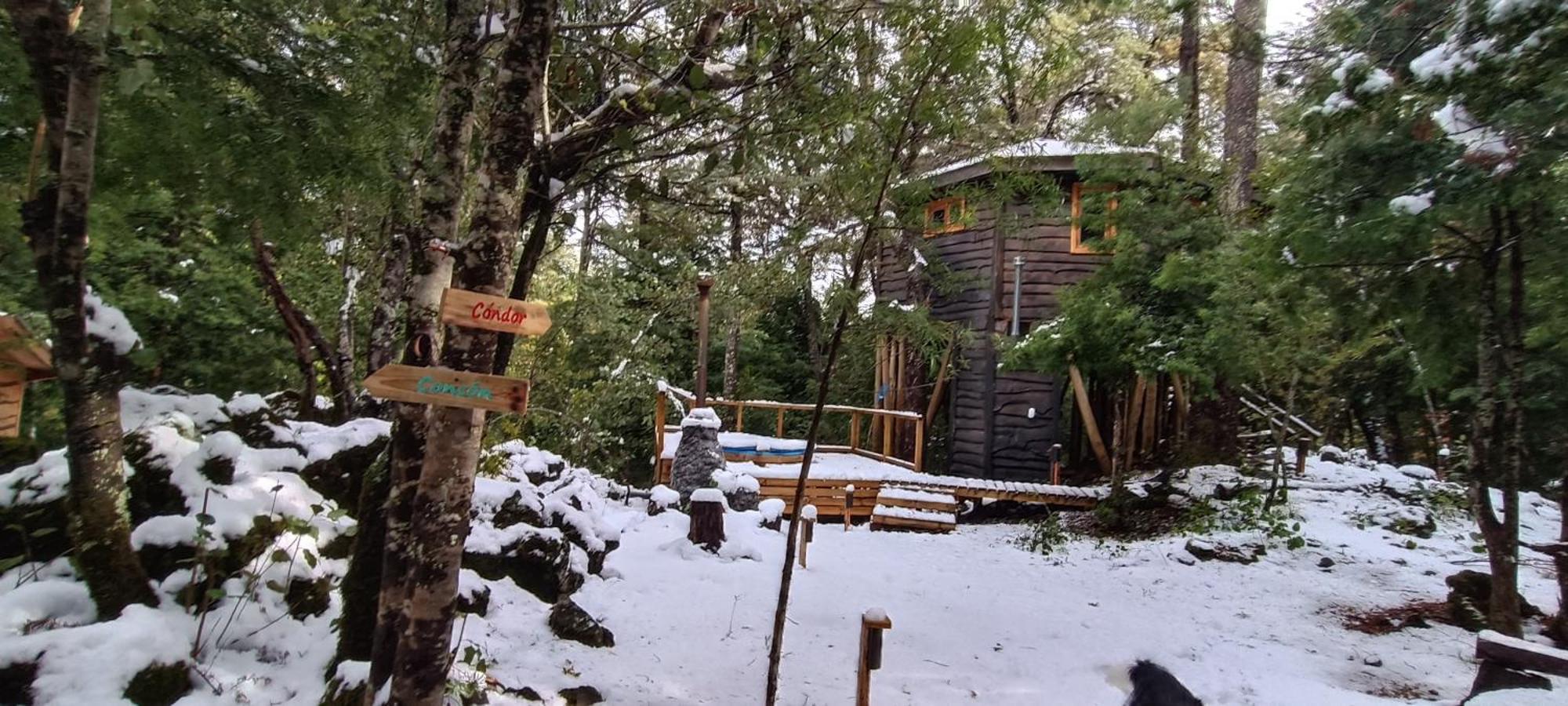 Cabanita Del Arbol Condor Chalet