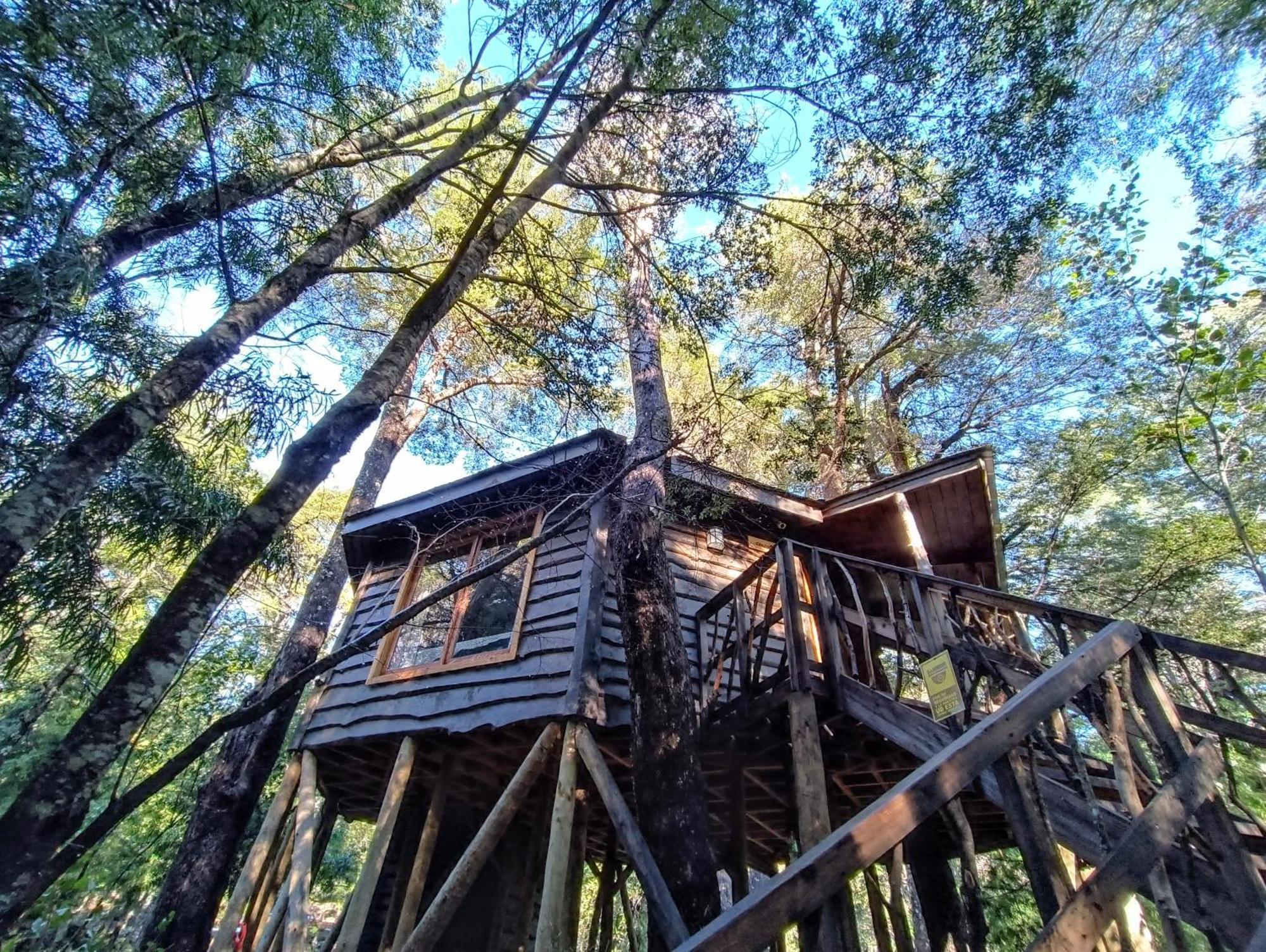 Chalet Cabanita Del Arbol Condor