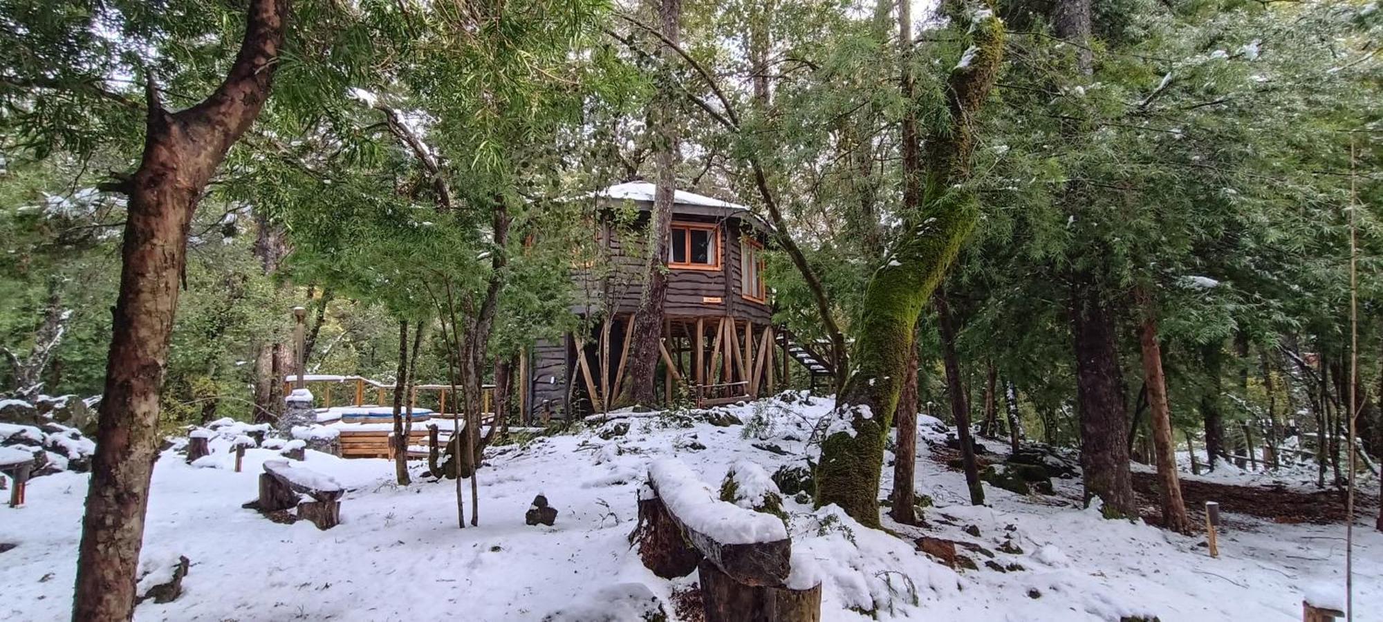Cabanita Del Arbol Condor Chalet